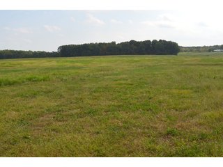 Pond in Dekalb County, Indiana - MAJOR LAND AUCTION - 516+/- ACRES OFFERED IN 18 TRACTS OR COMBINATIONS IN DEKALB COUNTY, INDIANA